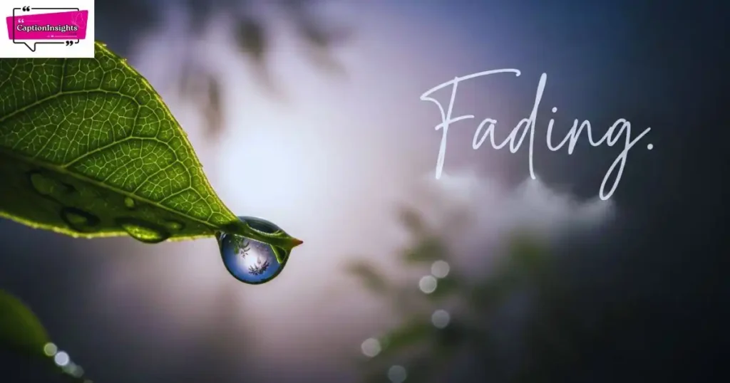 One-Word Sad Captions for Instagram