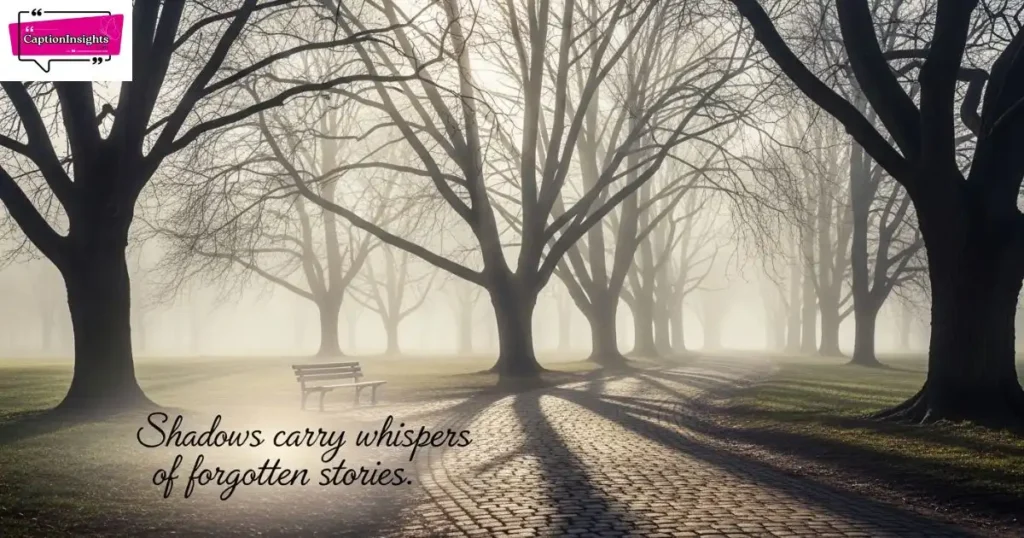 Dark Captions Inspired by Shadows