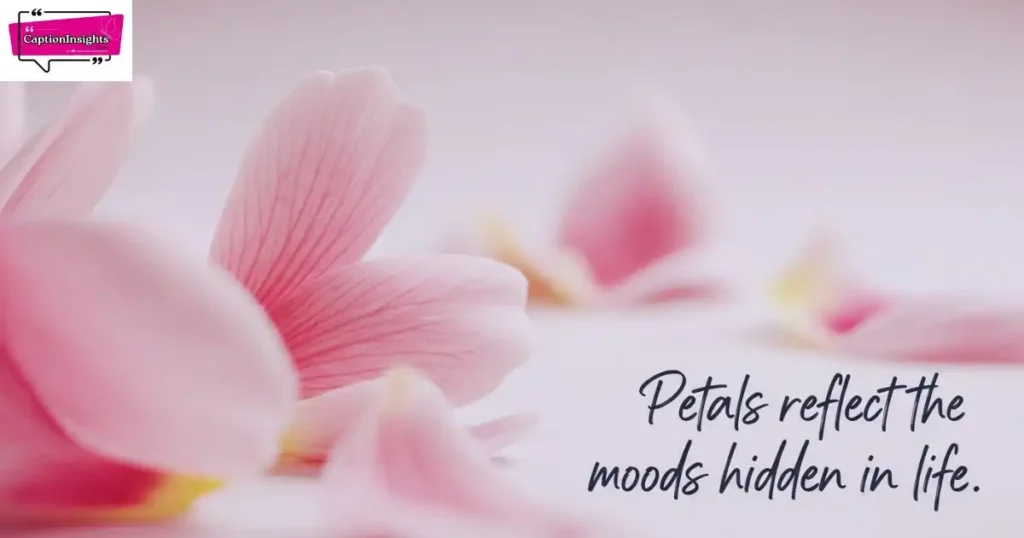 Petal Mood Captions